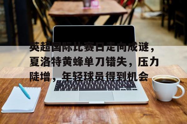关于英超国际比赛日走向成谜，夏洛特黄蜂单刀错失，压力陡增，年轻球员得到机会的信息-九游娱乐